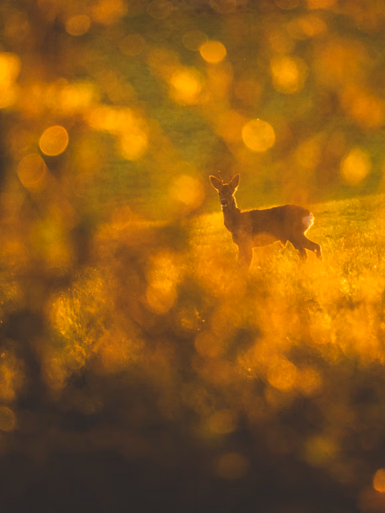 Nature footage film still – Mutter Natur Film social media