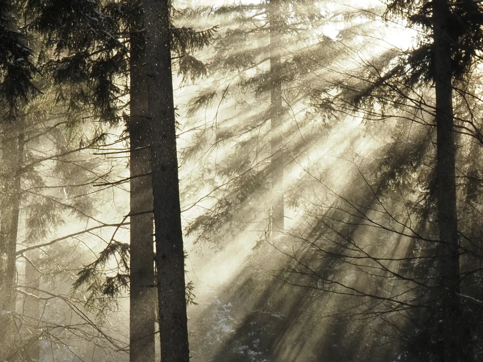Filmstill Naturlandschaft – Mutter Natur Film