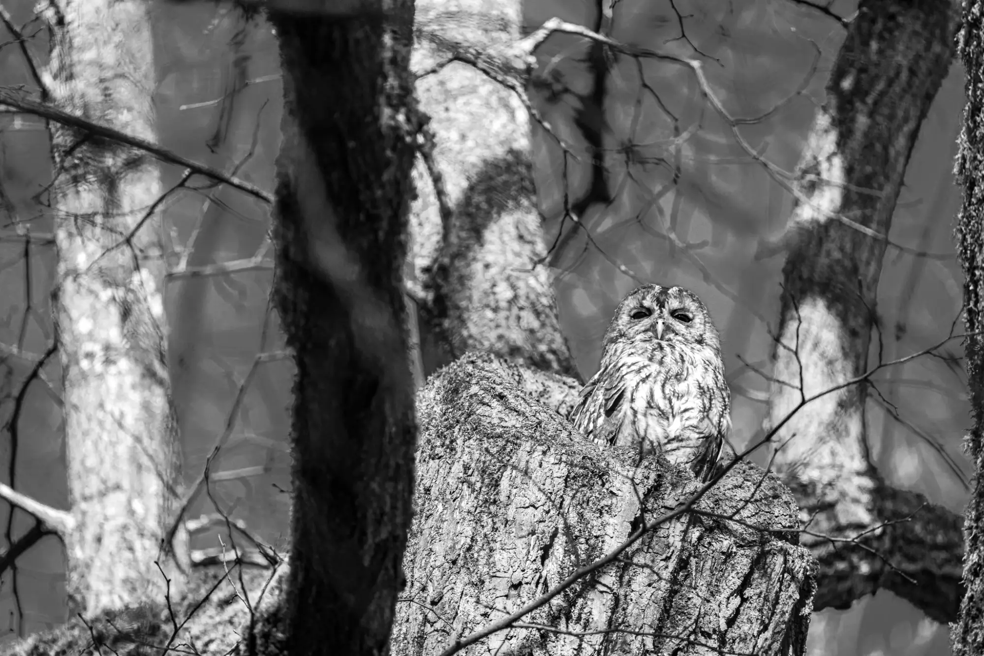 Independent Filme Portfolio – Mutter Natur Film