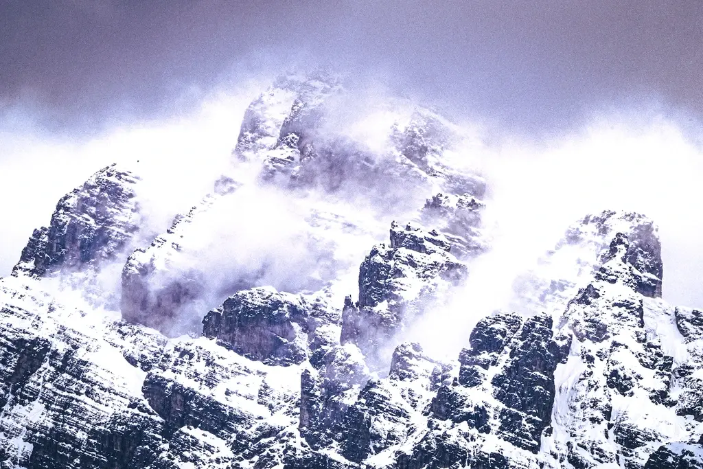 Nature footage on the theme of reconnection – Mutter Natur Film