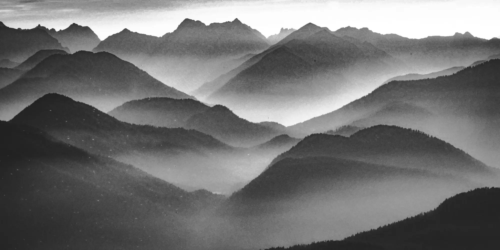 Nature documentary film still – Mutter Natur Film contact, Munich