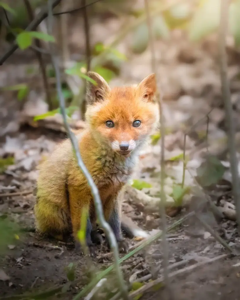 Timo Spengler – Instagram collaboration Mutter Natur Film